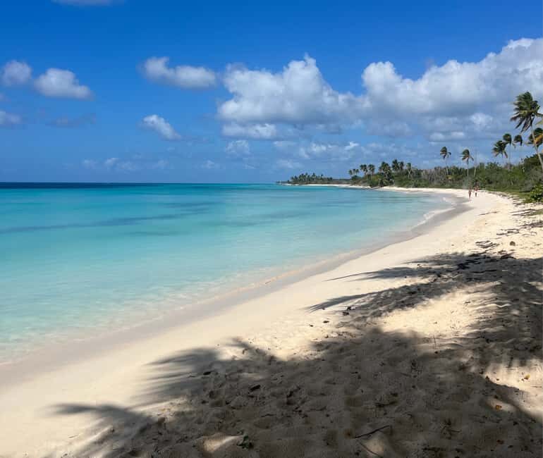 Punta Cana: Three Treasures of Saona - Palmilla, Pueblo & Canto de la playa - Experience Overview