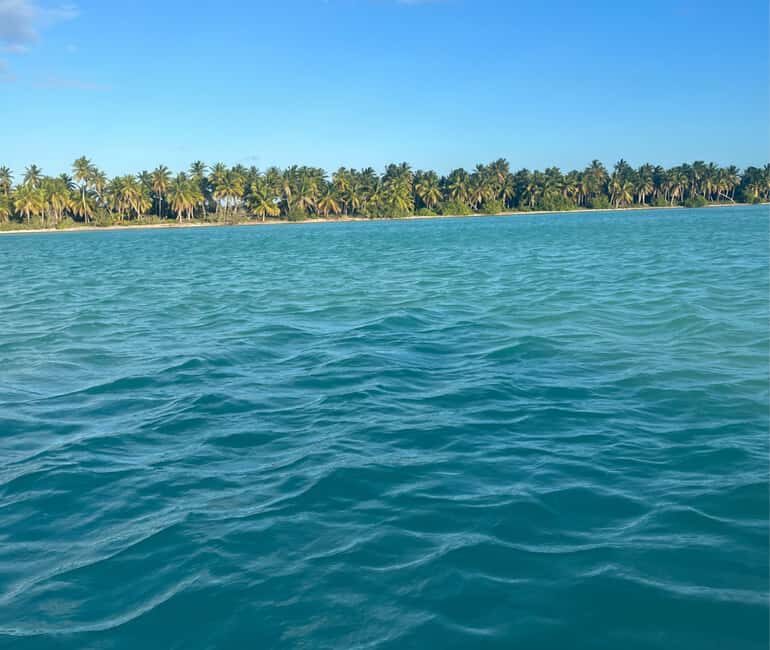 Punta Cana: Three Treasures of Saona - Palmilla, Pueblo & Canto de la playa - In-Depth Look at the Itinerary