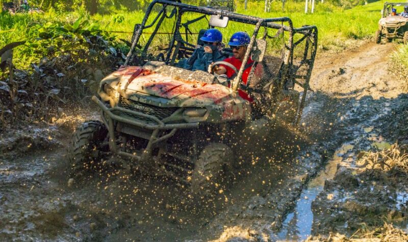 Punta Cana: Triple Jungle Adventure Park Tour With Tastings - Activities and Highlights