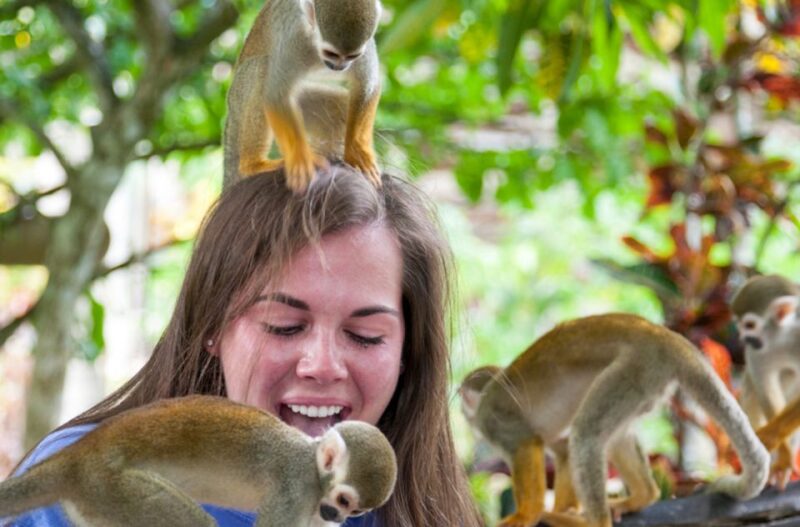 Punta Cana: Triple Jungle Adventure Park Tour With Tastings - Itinerary