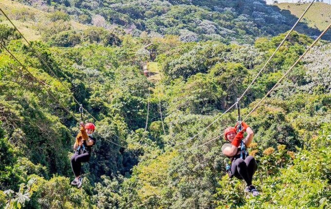 Punta Cana: Triple Jungle Adventure Park Tour With Tastings - Interaction With Monkeys