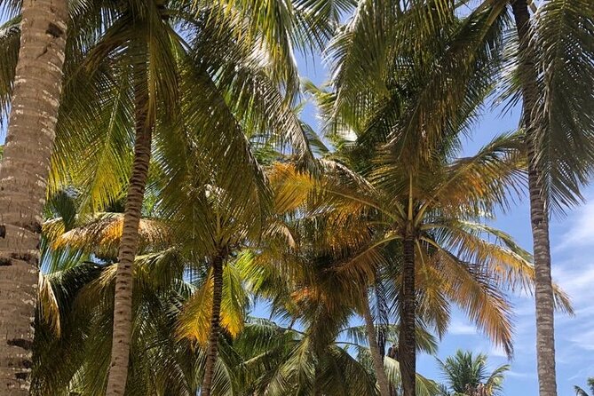 Punta Cana Village - Round Trip Shuttle - Punta Cana Airport - Customer Reviews