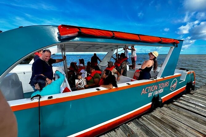 Punta Cana Whale Watching+ Limon + Cayo Levantado W/ Transport - About Your Stay