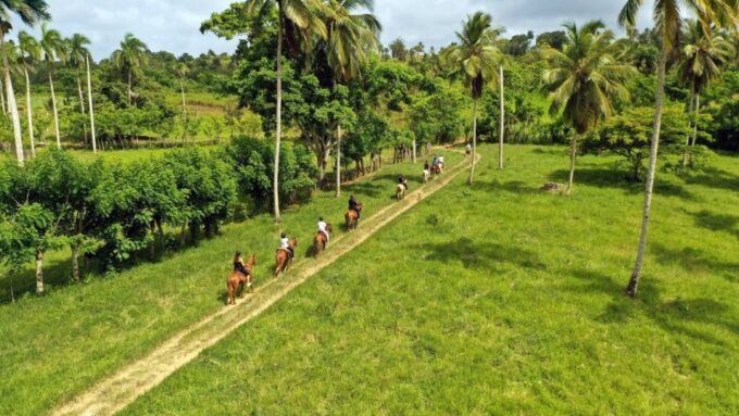 Punta Cana: Xploration Animal Park Bus Tour With Encounters - Frequently Asked Questions