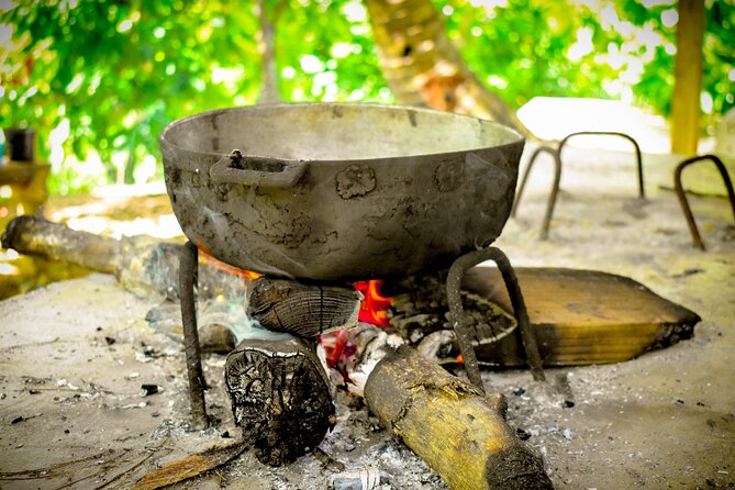 Punta Cana Zipline Adventure Plus Buggies and Horse Back Riding - Booking and Cancellation Information