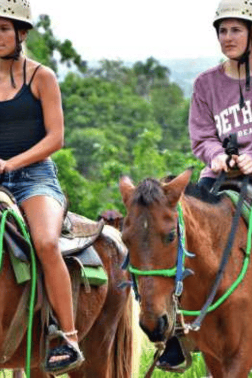 Punta Cana: Zipline, Buggy and Horseback Rides - Language Availability