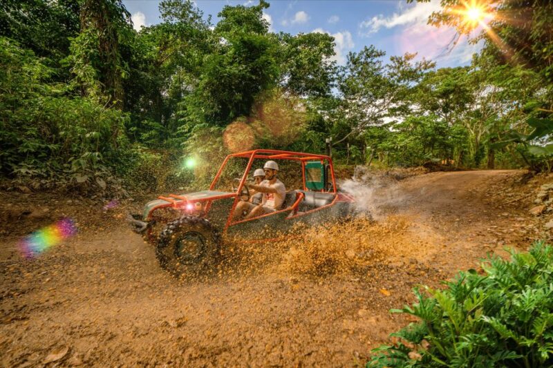 Punta Cana: Zipline, Chairlift, Buggy & Horse Ride Adventure - Key Points