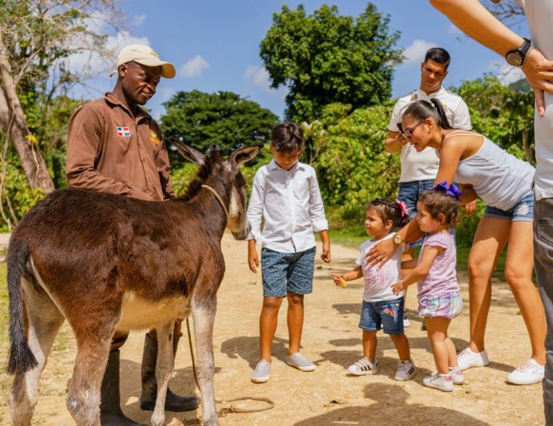 Punta Cana: Zipline, Chairlift, Buggy & Horse Ride Adventure - Zipline and Chairlift Highlights