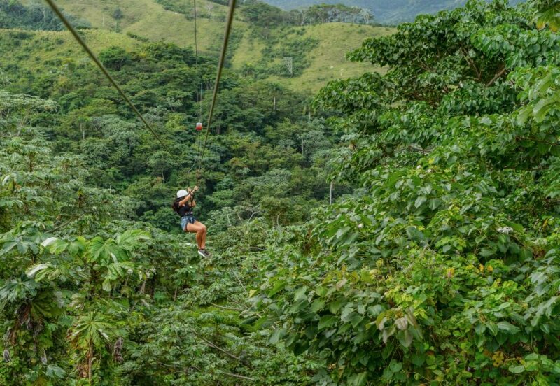 Punta Cana: Zipline, Chairlift, Buggy & Horse Ride Adventure - Buggy Driving Experience