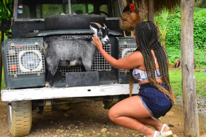 Punta Cana: Zipline, Chairlift, Buggy & Horse Ride Adventure - Cultural Safari and Buffet Lunch