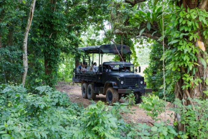 Punta Cana: Zipline, Chairlift, Buggy & Horse Ride Adventure - Frequently Asked Questions