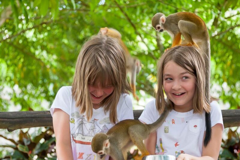 Punta Cana: Ziplines Adventures & Monkeyland Entry - Ziplines Experience