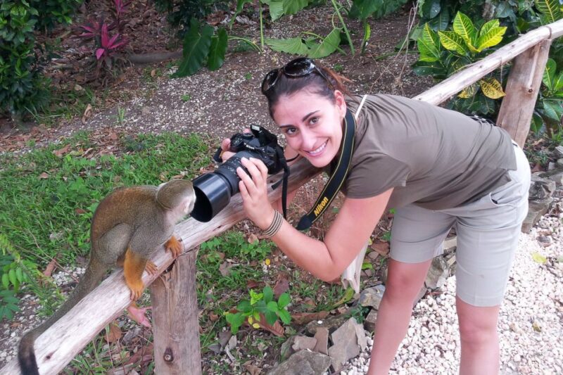 Punta Cana: Ziplines Adventures & Monkeyland Entry - Coconut House