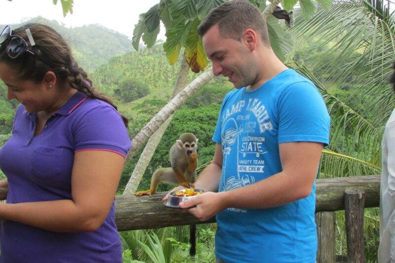 Punta Cana: Ziplines Adventures & Monkeyland Entry - Inclusions