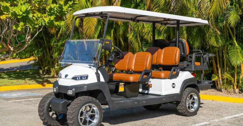 Punta De Mita Golf Cart Rentals - Key Points