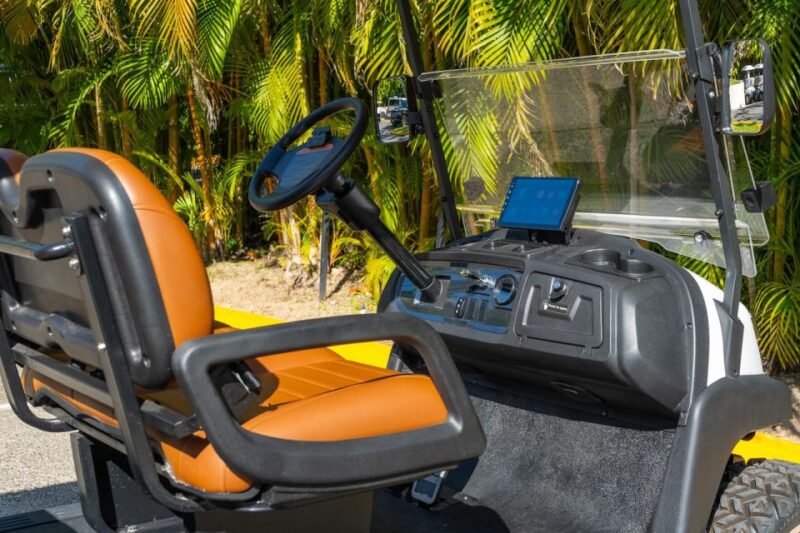 Punta De Mita Golf Cart Rentals - Instructor Availability and Language