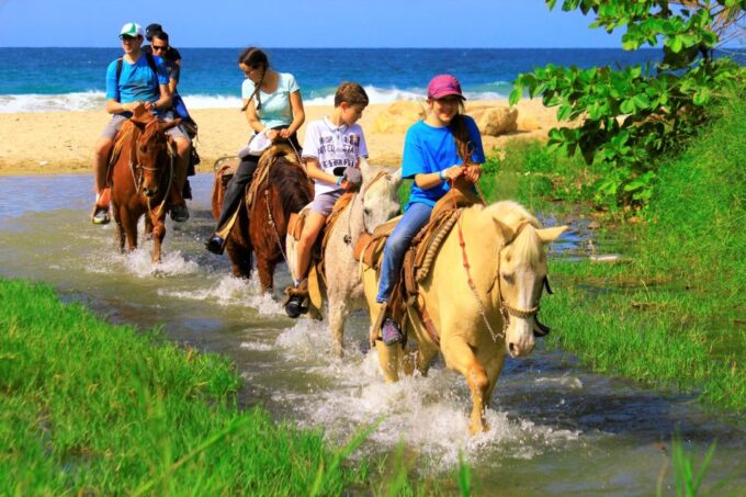 Punta De Mita/Sayulita: Horseback Riding Tour - Safety and Accessibility