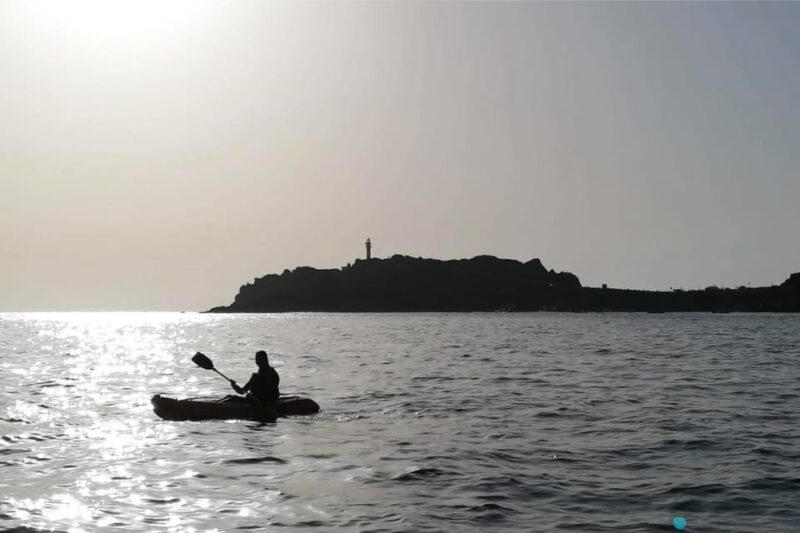 Punta De Teno: Kayak Safari Overlooking Los Gigantes Cliffs - Educational Aspects
