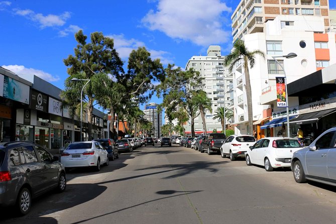 Punta Del Este Shore Excursion: Private Sightseeing Tour of Punta Del Este - Scenic Coastal Drive