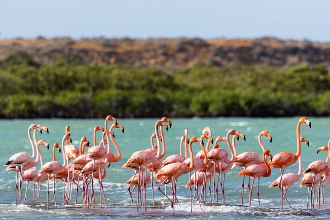 Punta Gallina - Guajira - Accessibility and Participation