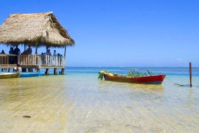 Punta Gorda Sunday Funday+ATV/Buggy Eco-Jungle & Beach Adventure - Convenient Pickup and Drop-off