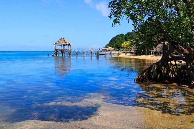 Punta Gorda Sunday Funday+ATV/Buggy Eco-Jungle & Beach Adventure - Inclusive and Flexible Tour Experience