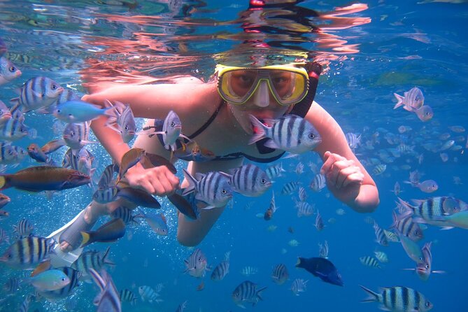 Punta Leona Beach Day - Booking Information and Pricing