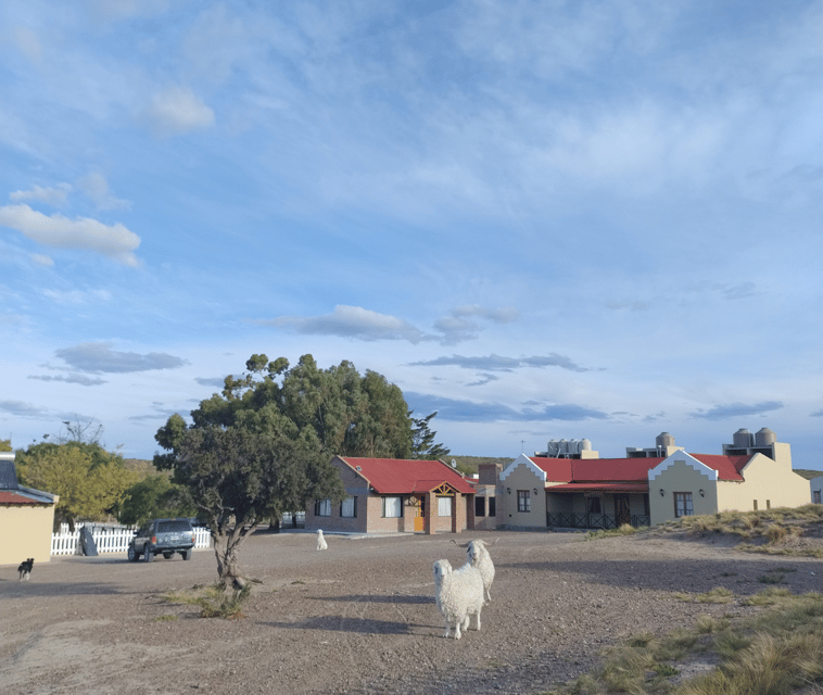 Punta Loma + Ranch Shore Excursion for Cruise Passengers - Wildlife and Nature Highlights