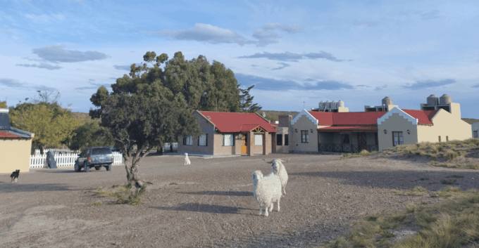 Punta Loma + Ranch Shore Excursion for Cruise Passengers - Transportation and Guide