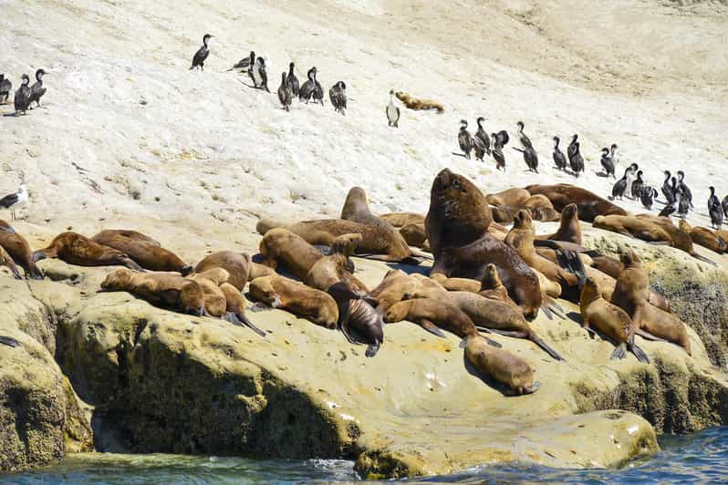 Punta Loma Shore Excursion With City Tour - Booking and Cancellation