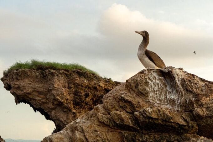 Punta Mita: Private Boat Tour to the Hidden Beach - Frequently Asked Questions