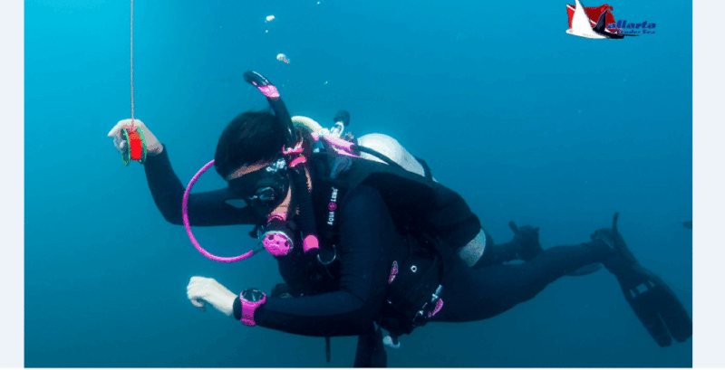Punta Mita: Scuba Diving Adventure in Islas Marietas - Pricing and Booking