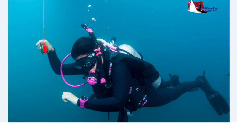 Punta Mita: Scuba Diving Adventure in Islas Marietas - Marine Protected Area