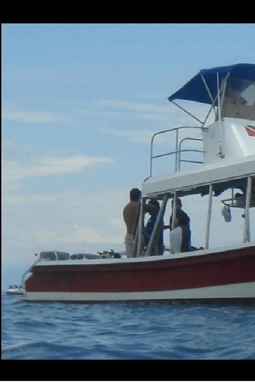 Punta Mita: Scuba Diving Adventure in Islas Marietas - Highlights of Islas Marietas