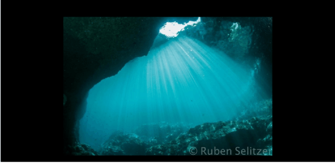Punta Mita: Scuba Diving Adventure in Islas Marietas - Frequently Asked Questions