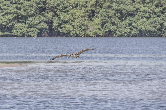 Punta Sal Tela Day Trip From San Pedro Sula - Highlights of the Itinerary