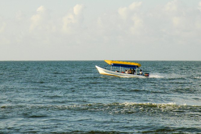 Punta Sal Tela Day Trip From San Pedro Sula - Garifuna Cove Beach Experience