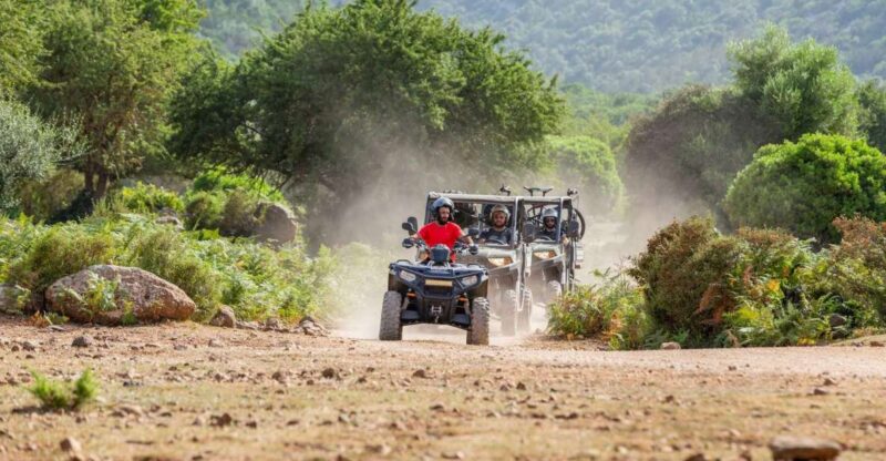 Punta Salinas: Buggy Excursion From Baunei - Customer Feedback
