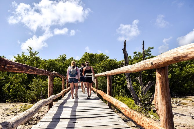 Punta Sur Eco Beach Park Electric Bike Tour in Cozumel - Itinerary Highlights