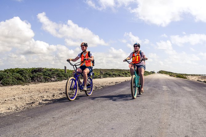 Punta Sur Eco Beach Park Electric Bike Tour in Cozumel - Inclusions and Costs
