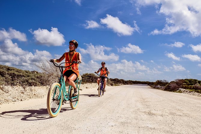 Punta Sur Eco Beach Park Electric Bike Tour in Cozumel - Accessibility and Accommodations