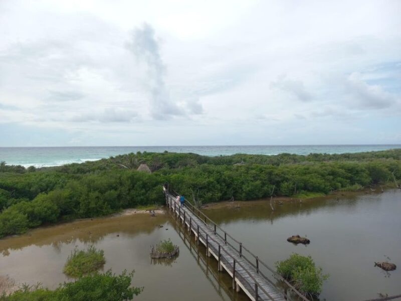 Punta Sur Eco-Park Adventure - Key Points