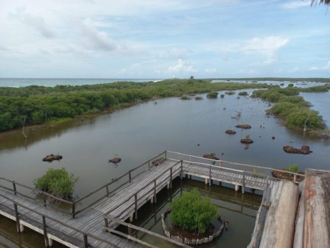 Punta Sur Eco-Park Adventure - Frequently Asked Questions