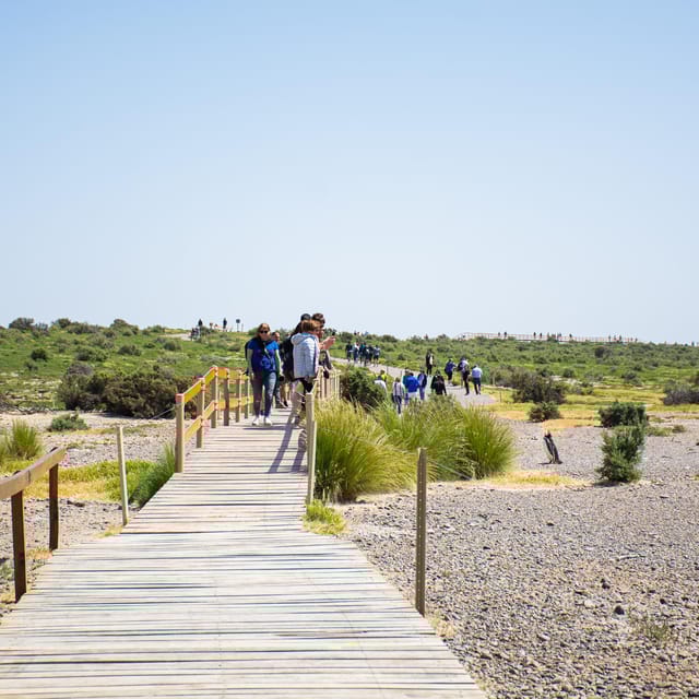 Punta Tombo 6-Hour Shore Excursion From Puerto Madryn - Key Points