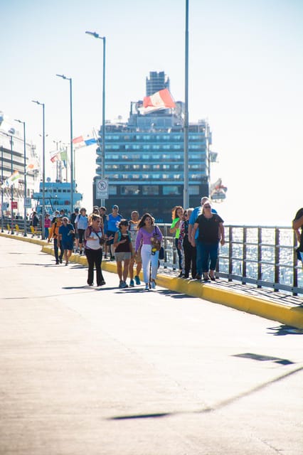 Punta Tombo 6-Hour Shore Excursion From Puerto Madryn - Wildlife and Natural Features