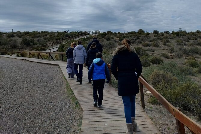 Punta Tombo for Cruises Walk Among Penguins - Prepare for Your Adventure