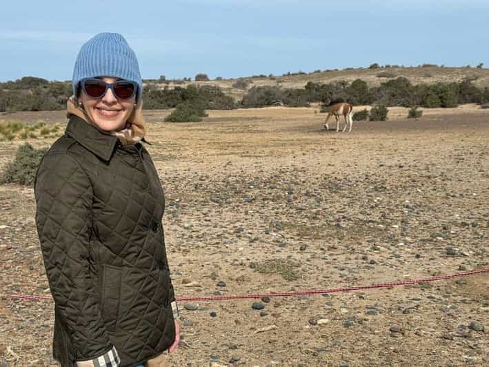 Punta Tombo: Memorable Wildlife Adventure in Puerto Madryn - Pickup and Transportation
