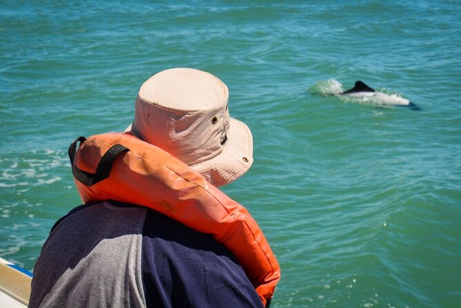 Punta Tombo Penguin Colony From Puerto Madryn With Optional Toninas Watching - Customer Feedback