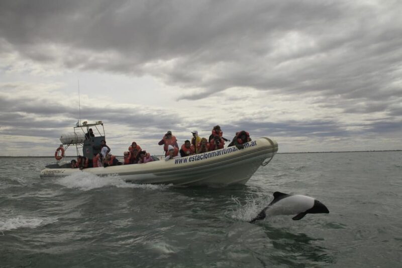 Punta Tombo + Rawson + Isla Escondida From Puerto Madryn/Rel - Wildlife Experience at Punta Tombo