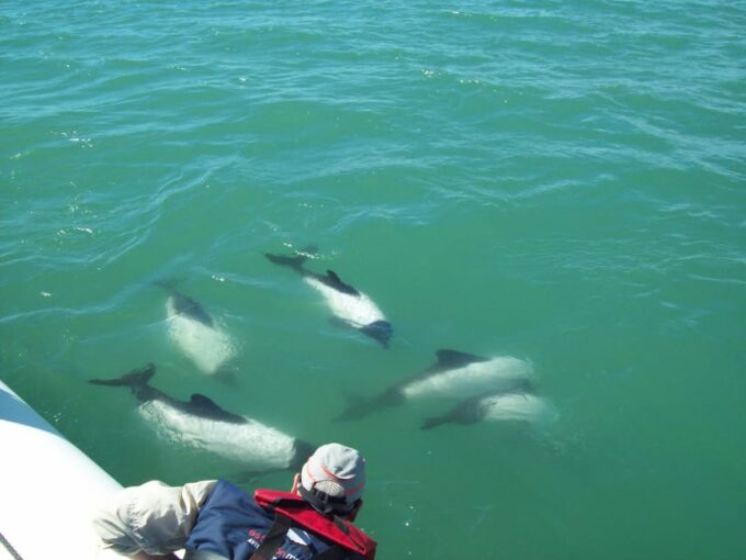 Punta Tombo + Rawson + Isla Escondida From Puerto Madryn/Rel - Frequently Asked Questions
